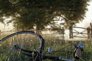 Close-up van een ligfiets in een bloemenweide van Besa Art