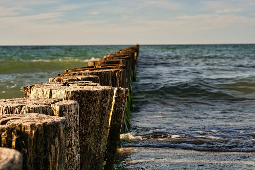 Kribben die in de Oostzee reiken in Zingst. van Martin Köbsch