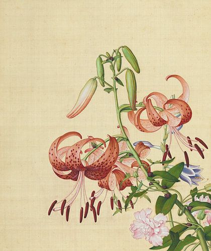 Lilien und Pfingstrosen, Giuseppe Castiglione