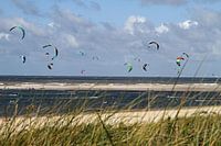 Kite surfers at the starnd