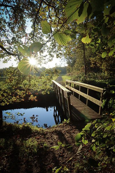 Bridge near the city forest of Assen by Debby Gelderloos