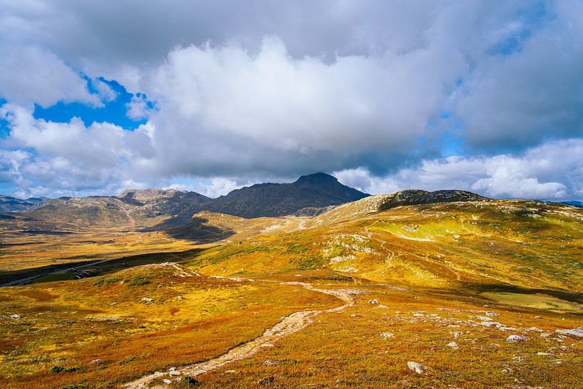 Smørkollen dans les nuages par Kijk, een Vogel Fotografie