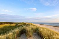 Dunes of Ameland