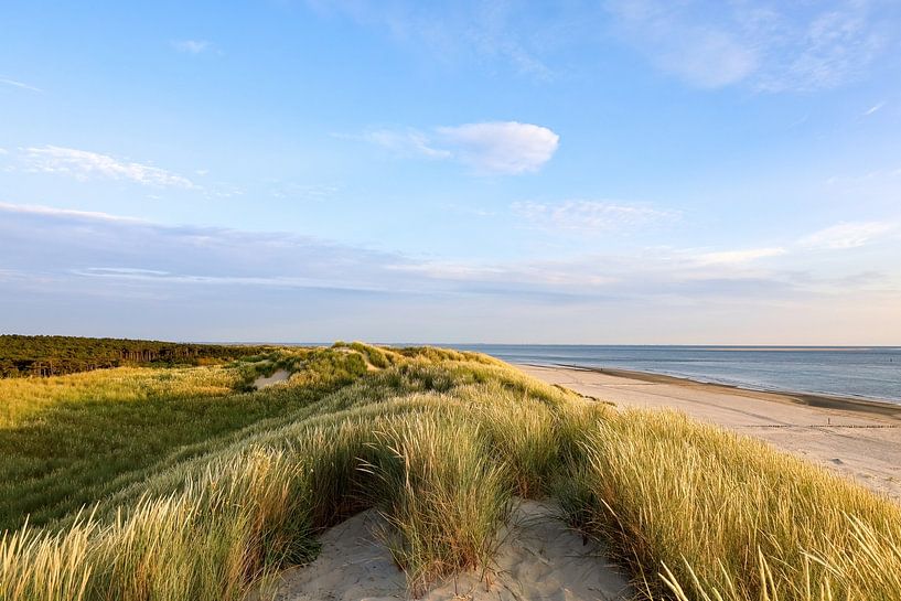 Die Dünen von Ameland von Annemarie Veldman