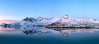 Zonsopkomst over een fjord op de Lofoten in de winter van Sjoerd van der Wal Fotografie thumbnail