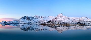 Zonsopkomst over een fjord op de Lofoten in de winter van Sjoerd van der Wal