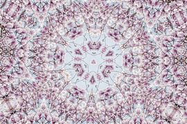 Pink flowers of the Magnolia spring blossom kaleidoscope by Jessica Berendsen