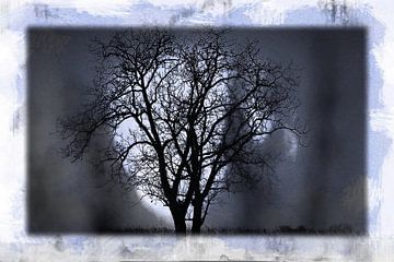 Tree in the Moonlight van Nicky`s Prints