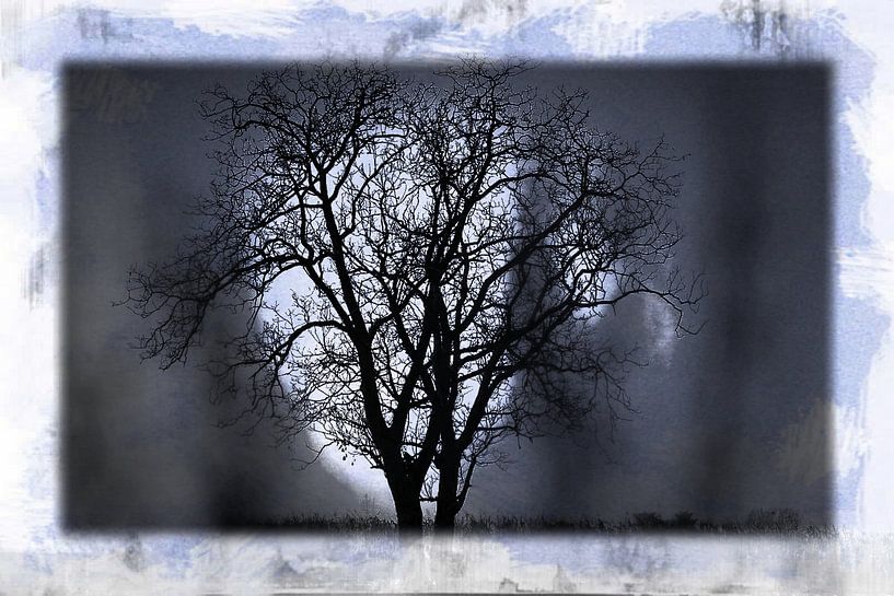 Tree in the Moonlight by Nicky`s Prints