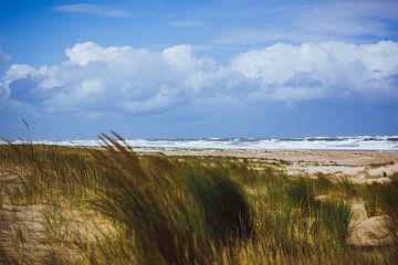 Vlieland North Sea beach 2 by Nienke Boon