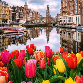 Tulipmania in Amsterdam by Bas Banga