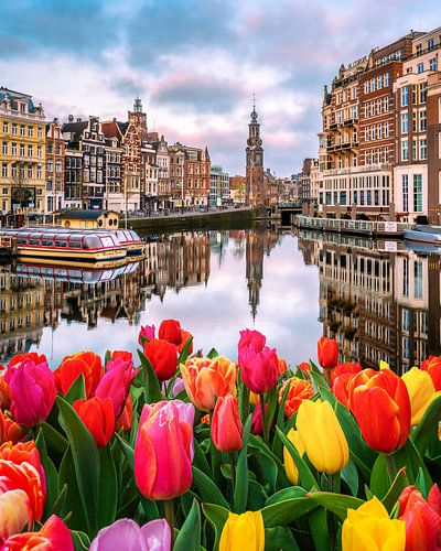 Tulipmania à Amsterdam