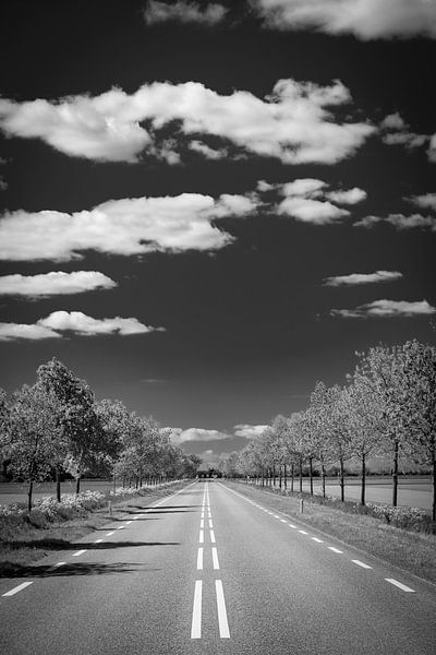 Long straight deserted road with trees in black and white by Sjoerd van der Wal Photography
