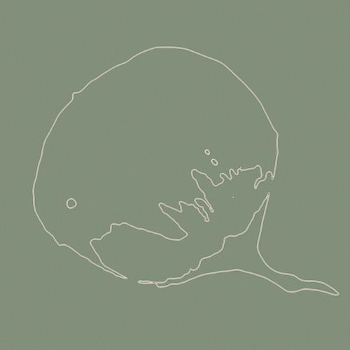 Kuri - Kastanie aus dem Wald Abstrakte Kunst