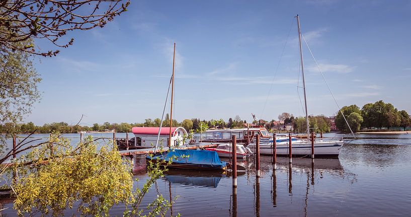 Hafen mit Booten in Werder an der Havel Brandenburg von Animaflora PicsStock
