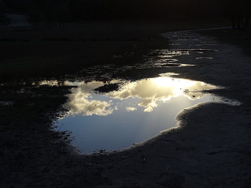 De lucht in een plas von Elvira van Maldegem