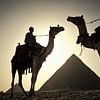 Kamele an den Pyramiden von Gizeh bei Kairo, Ägypten von Frans Lemmens