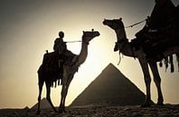 Chameaux aux pyramides de Gizeh près du Caire, Egypte par Frans Lemmens Aperçu