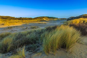 Dune landscape sur Henk van den Brink