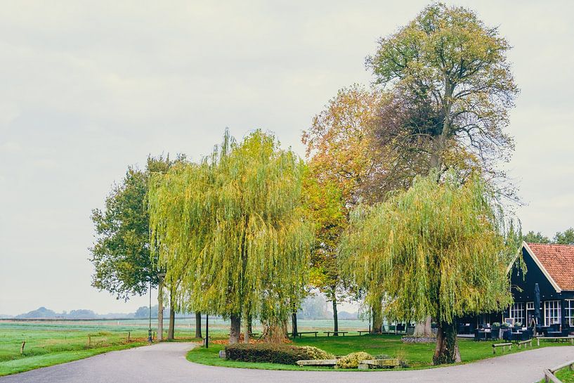 22 Herbst - die Houtmaat von Rob van der Pijll