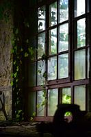Industrial window