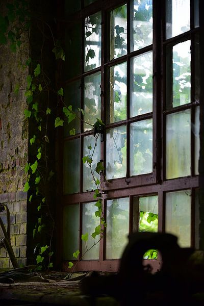 Industrial window by Frozen Moments