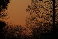 Voorzomer zon