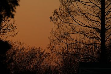 Voorzomer zon