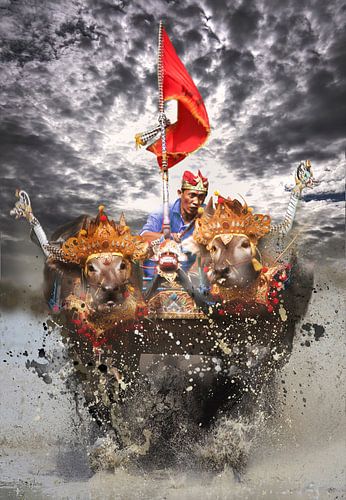 Water buffel race. by Dray van Beeck