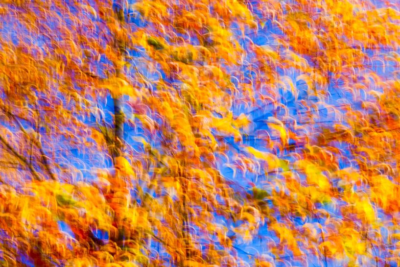 Goldener Oktober von Thomas Jäger