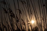 Zonsondergang