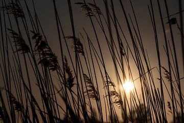 Zonsondergang van Nienke Stegeman