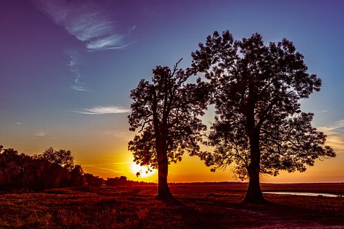 Abend im Naturpark Lonjsko Polje