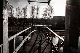 Le Weerribben - Pont sur Iris Boersma