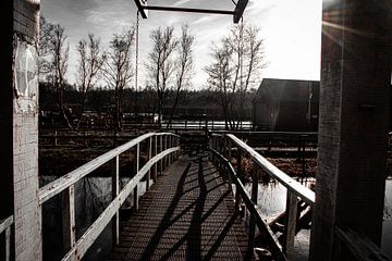 Le Weerribben - Pont