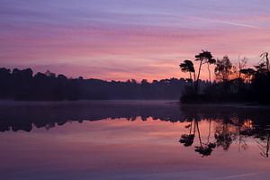 The sky turns beautiful on the sunrise at the lake sur Paul Wendels