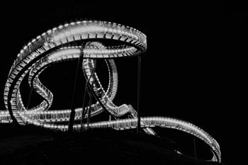 Tiger & Turtle Duisburg monochrom