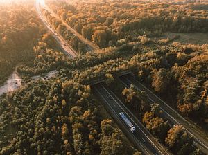 Ökodukt über eine Autobahn in der Veluwe