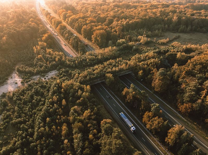 Wildlife crossing over a highway in nature by Sjoerd van der Wal Photography