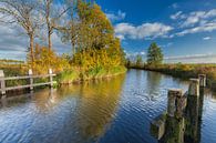 Autumn afternoon at Damsterdiep canal near Winneweer von Ron Buist Miniaturansicht