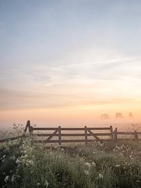 Lever de soleil brumeux dans le polder sur Elise van den Boogaart
