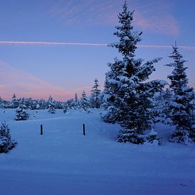 Les montagnes autrichiennes sur Femke Looman