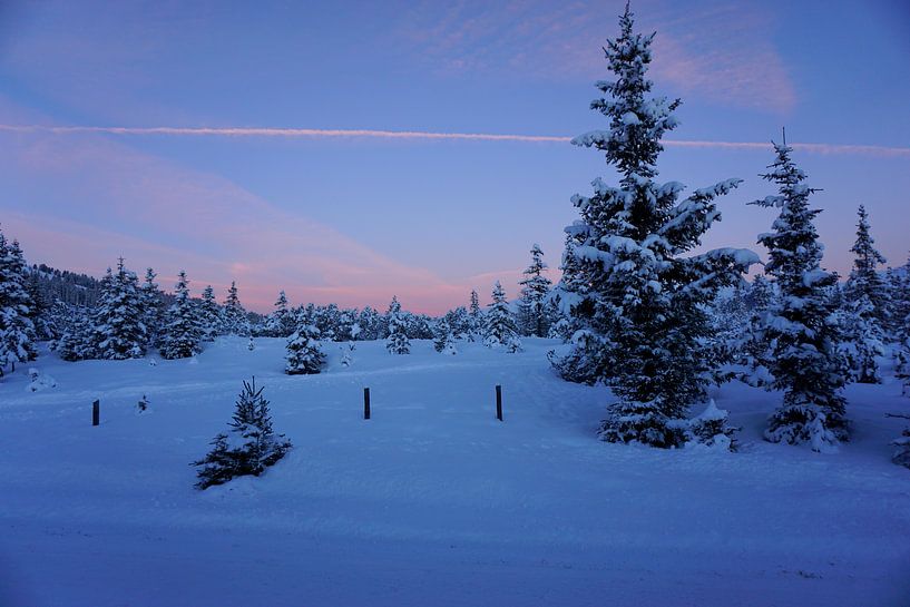 Austrian mountains by Femke Looman
