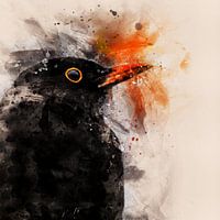 Portret van een mannetjes merel (waterverf)