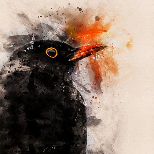 Porträt einer männlichen Amsel (Aquarell)