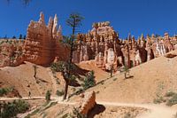 Bryce Canyon National Park Verenigde Staten