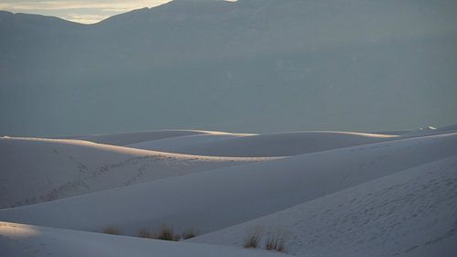 White Sands - New Mexico