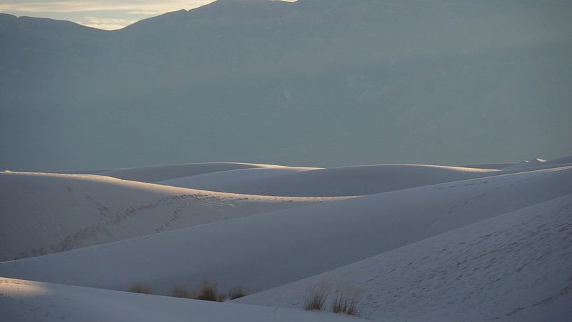 White Sands - New Mexico von Tonny Swinkels