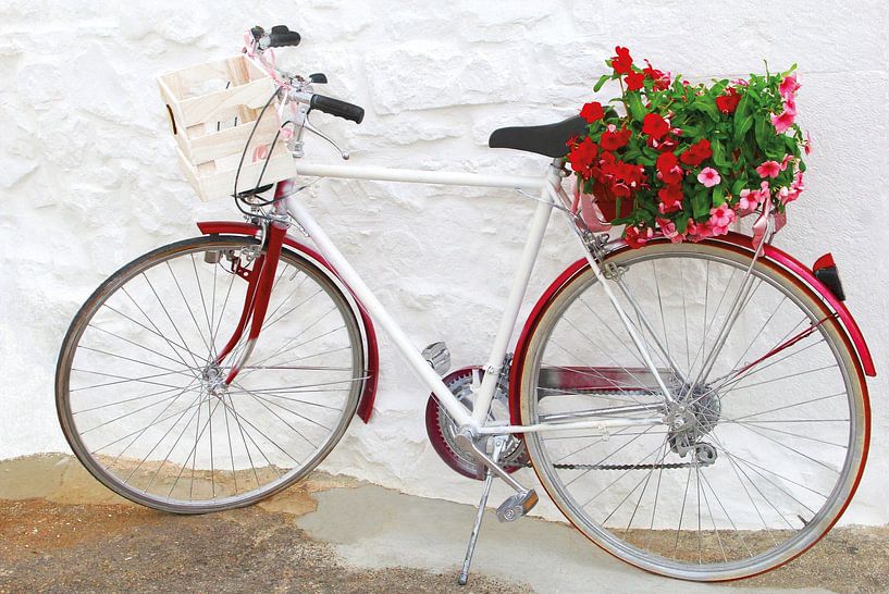 Blumenfahrrad Apulien von Inge Hogenbijl