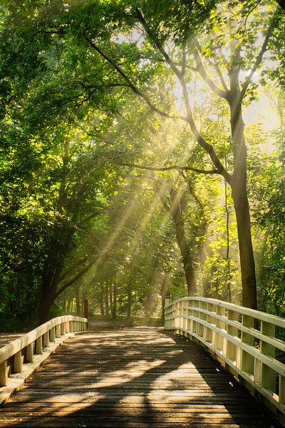 Brücke aus Licht von Koen Boelrijk Photography